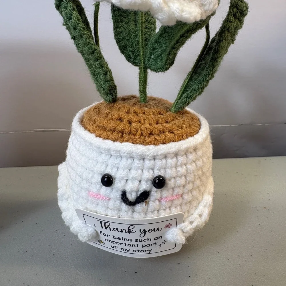 Handmade Crochet Positive Daisy Potted Plant Thank You Gift Desk Decor Nurse